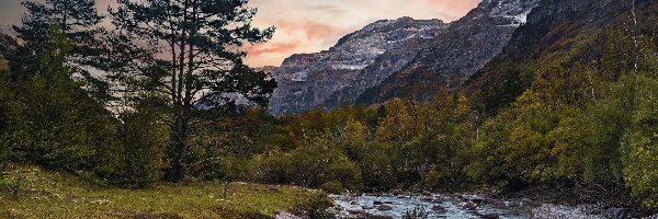 Hiszpania, Park Narodowy Ordesa y Monte Perdido, Drzewa, Kamienie, Rzeka Piedra, Pireneje Aragońskie, Góry