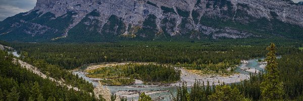 Drzewa, Rzeka, Kanada, Alberta, Bow River, Świerki, Park Narodowy Banff, Góry