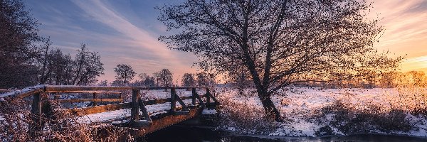Zima, Wschód słońca, Drzewo, Polska, Mostek, Rzeka Mroga