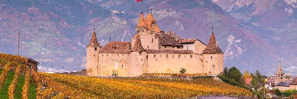 Winnice, Góry, Zamek, Region Chablais Vaudois, Szwajcaria, Plantacja, Aigle Castle