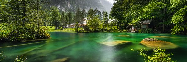 Góry, Kanton Berno, Drzewa, Las, Jezioro Blausee, Domy, Kamienie, Szwajcaria