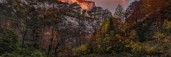 Drzewa, Pireneje, Hiszpania, Park Narodowy Ordesa y Monte Perdido, Wąwóz, Rzeka Bellos, Tęcza, Góry