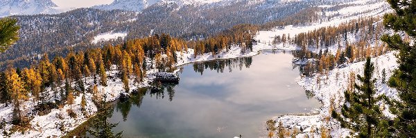 Las, Lago Federa, Dolomity, Góry, Zima, Włochy, Cortina dAmpezzo, Jezioro, Drzewa