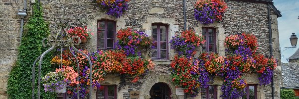 Francja, Studnia, Kwiaty, Dom, Kamienny, Bretania, Rochefort en Terre