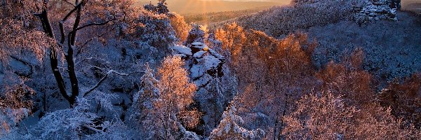 Promienie słońca, Zima, Śnieg, Skały, Drzewa, Góry