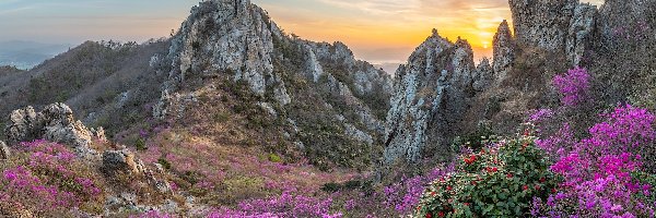 Góry Jujaksan, Kwiaty, Skały, Korea Południowa