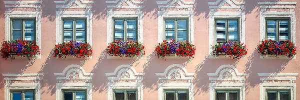 Fasada, Kwiaty, Dom