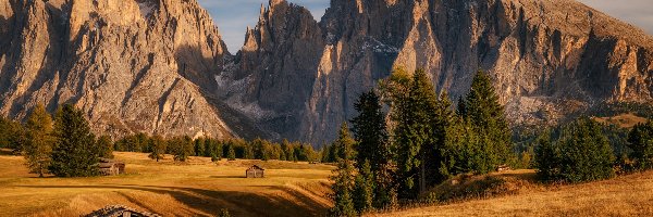 Domki, Góry Sassolungo, Włochy, Drzewa, Drewniane, Płaskowyż Seiser Alm, Dolina Val Gardena, Dolomity