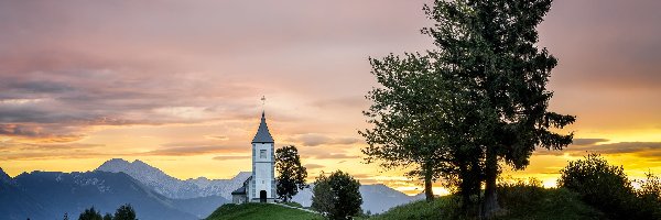 Kościół św Piotra, Wzgórze, Begunje na Gorenjskem, Wieś, Słowenia, Wschód słońca, Drzewa, Góry, Droga