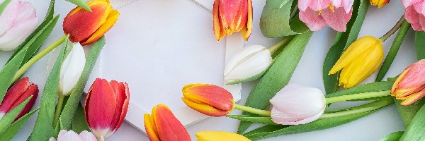 Kolorowe, Ramka, Tulipany, Tło, Jasne