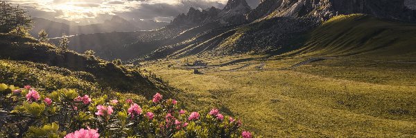Różaneczniki, Dolomity, Kwiaty, Passo di Giau, Włochy, Góry, Droga, Chmury Prowincja Belluno, Kręta, Przełęcz, Promienie słońca