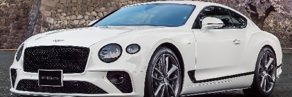Biały, Bentley Continental GT
