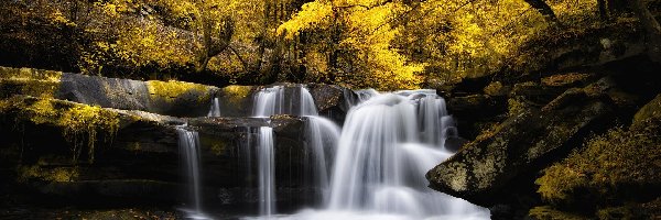 Las, Wodospad, Drzewa, Jesień, Skały