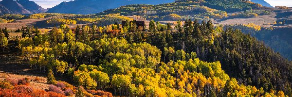 Wilson Peak, Stany Zjednoczone, Las, Telluride, Drzewa, Góry, Góra, Góry, San Juan Mountains, Stan Kolorado, Jesień
