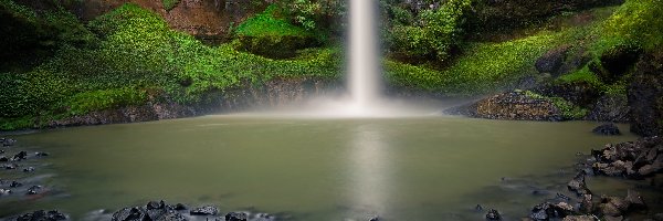 Rośliny, Bridal Veil Falls, Nowa Zelandia, Region Waikato, Skały, Rzeka, Pakoka River, Wodospad