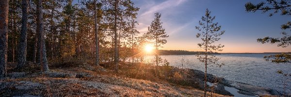 Zachód słońca, Jezioro, Ładoga, Karelia, Rosja, Skały, Drzewa