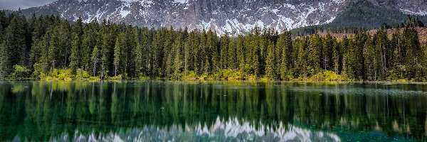 Odbicie, Lago di Carezza, Włochy, Drzewa, Alpy, Dolomity, Las, Jezioro, Góry, Południowy Tyrol