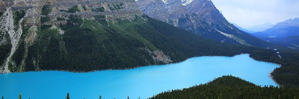 Kanada, Peyto Lake, Góry, Jezioro, Park Narodowy Banff, Prowincja Alberta, Drzewa