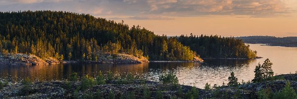 Karelia, Las, Skały, Rosja, Jezioro Ładoga, Chmury