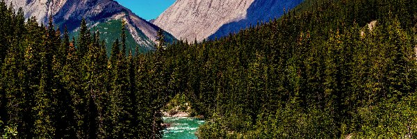 Lasy, Drzewa, Athabaska, Rzeka, Park Narodowy Jasper, Kanada, Alberta, Góry Skaliste, Obłoki
