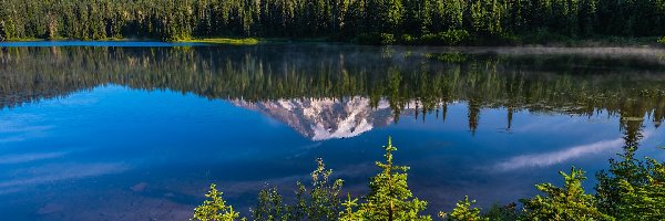 Reflection Lake, Jezioro, Park Narodowy Mount Rainier, Stan Waszyngton, Stany Zjednoczone, Odbicie, Drzewa, Góry, Kwiaty