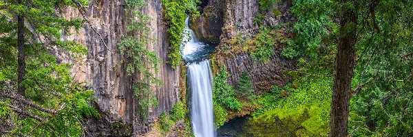 Wodospad Toketee, Skały, Drzewa, Zielone, Las, Stany Zjednoczone, Oregon, Rośliny, Park Narodowy Jeziora Kraterowego