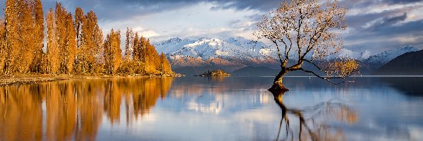 Chmury, Góry, Jesień, Nowa Zelandia, Drzewo, Jezioro Wanaka