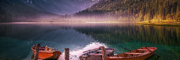 Mgła, Jezioro Jagersee, Austria, Pale, Drzewa, Trzy, Łódki, Góry