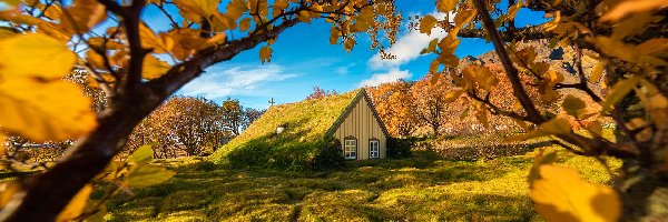 Jesień, Kościół Hofskirkja, Murawa, Hof, Islandia, Gałęzie, Drzewa
