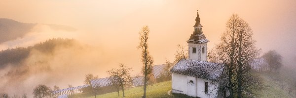 Drzewa, Góry, Mgła, Przebijające światło, Kościół św Primusa i Felicjana, Słowenia, Wieś Jamnik, Wzgórze, Jesień
