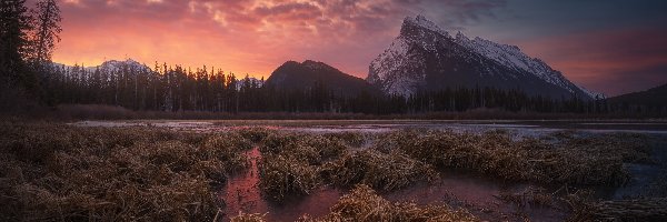 Zachód słońca, Drzewa, Jezioro, Góry, Park Narodowy Banff, Kanada, Alberta, Vermilion Lakes, Chmury