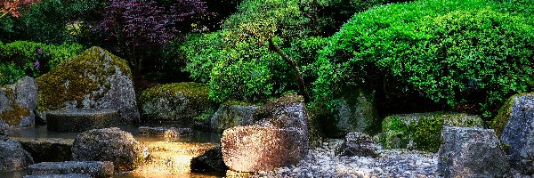 Ogród japoński, Krzewy, Drzewa, Kamienie, Strumień