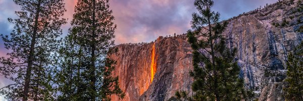 Góra, Pomarańczowa, Drzewa, Wodospad, Stany Zjednoczone, Horsetail Fall, Skalista, Kalifornia, Yosemite Firefall, Poświata, Park Narodowy Yosemite