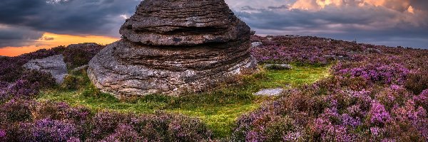 Skała, Wzgórze, Anglia, Wrzosowisko, Over Owler Tor, Formacja skalna, Wrzosy, Park Narodowy Peak District
