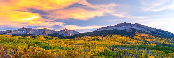 Kebler Pass, Kolorado, Lasy, Drzewa, Przełęcz, Góry, Jesień, Stany Zjednoczone