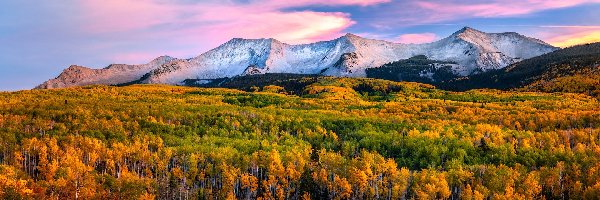 Kebler Pass, Kolorado, Lasy, Drzewa, Przełęcz, Jesień, Góry, Stany Zjednoczone
