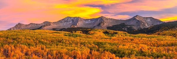 Lasy, Przełęcz, Kebler Pass, Kolorado, Stany Zjednoczone, Jesień, Góry