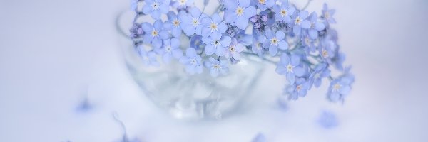 Niezapominajki, Kwiaty, Niebieskie, Naczynie, Szklane