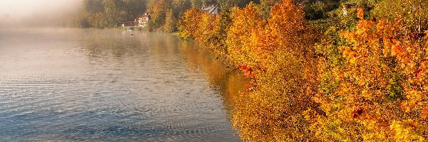 Mgła, Domy, Rzeka Neckar, Niemcy, Drzewa, Jesień