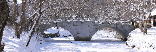 Zima, Most, Rzeka, Śnieg, Drzewa