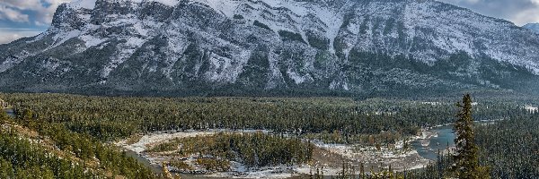 Kanada, Rzeka, Bow River, Mount Rundle, Góra, Park Narodowy Banff, Lasy