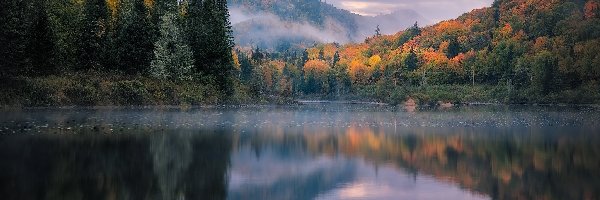 Jesień, Prowincja, Mgła, Lasy, Góry, Jezioro, Drzewa, Kanada, Ontario, Odbicie