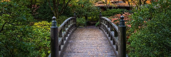 Portland, Portland Japanese Garden, Krzewy, Drzewa, Ogród japoński, Mostek, Stany Zjednoczone, Jesień, Oregon