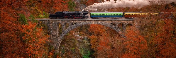 Pociąg, Most, Alpy Julijskie, Góry, Słowenia, Skały, Jesień, Wąwóz Vintgar, Drzewa
