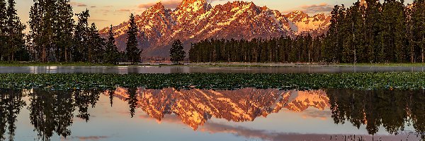 Drzewa, Góry Teton Range, Stany Zjednoczone, Stan Wyoming, Staw, Mgła, Chmury, Park Narodowy Grand Teton