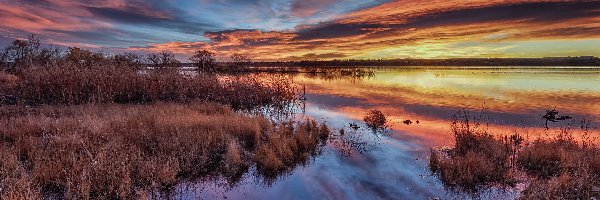 Lake Chatfield, Chmury, Stany Zjednoczone, Kolorado, Jezioro, Trawa, Drzewa, Wschód słońca