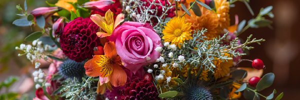 Kwiaty, Kolorowe, Bukiet