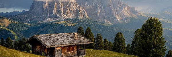 Dom, Drewniany, Dolina, Dolomity, Góry, Włochy, Gmina Santa Cristina Gherdeina, Val Gardena, Drzewa