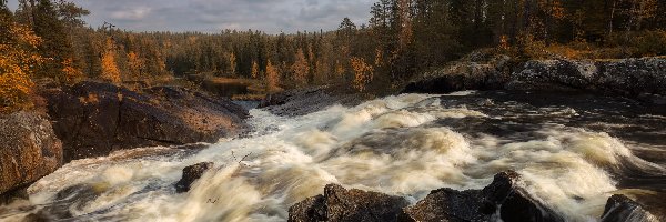 Rzeka Voynitsa, Drzewa, Rosja, Karelia, Rwąca, Wodospad Kumi-Porog, Skały, Jesień
