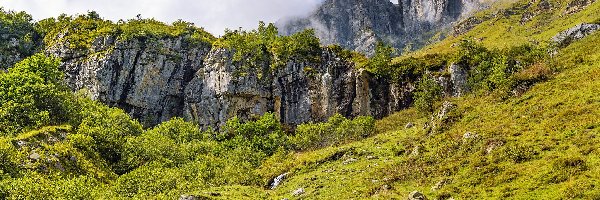 Przełęcz, Drzewa, Szwajcaria, Alpy Glarneńskie, Mgła, Klausenpass, Góry, Skały
